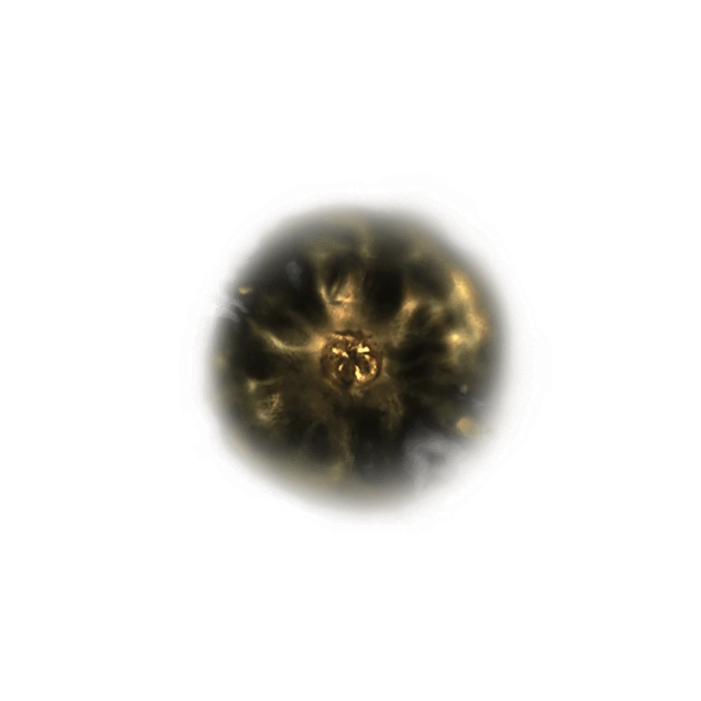 Shadow Realm Rune [1] icon