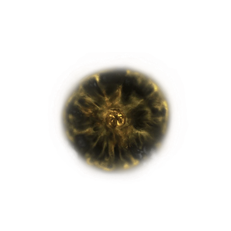 Shadow Realm Rune [2] icon