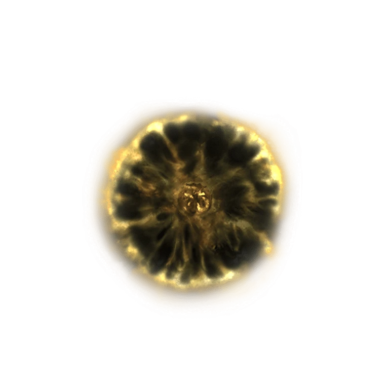 Shadow Realm Rune [5] icon