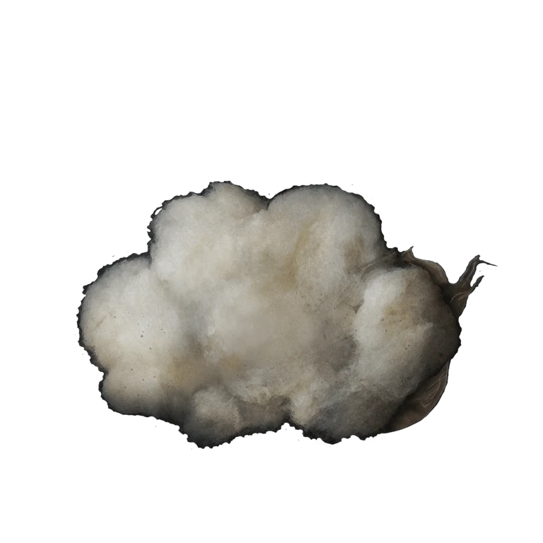 Soft Cotton icon