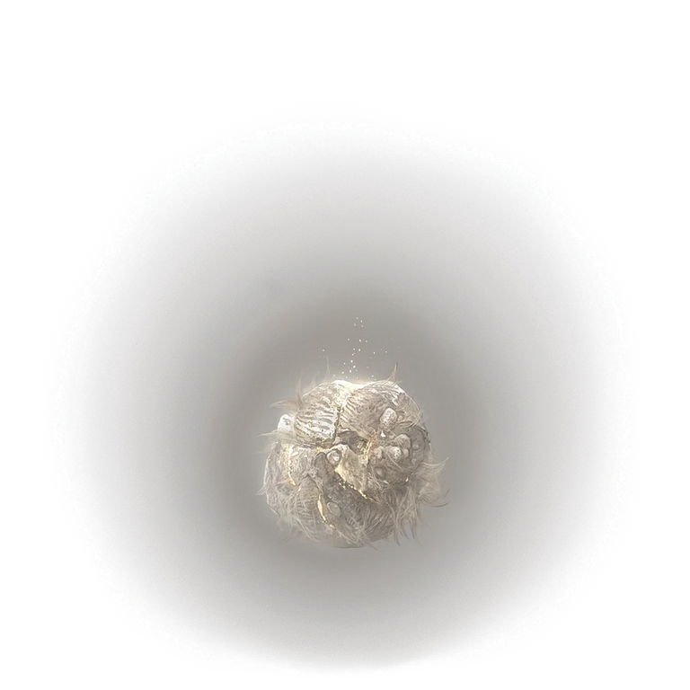 Spirit Calculus icon