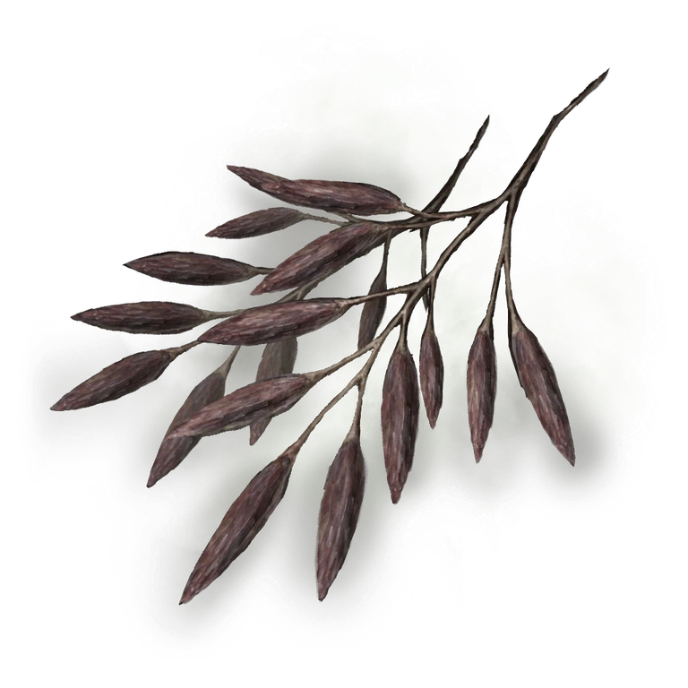 Spirit Raisin icon