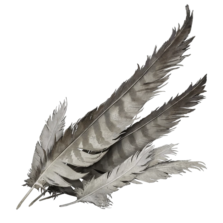 Stormhawk Feather icon