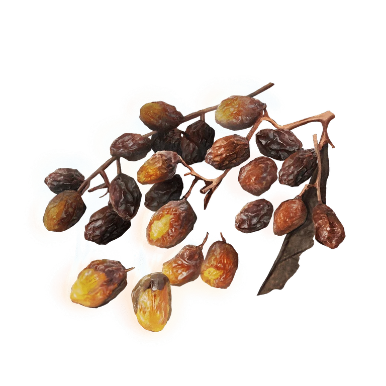 Sweet Raisin icon