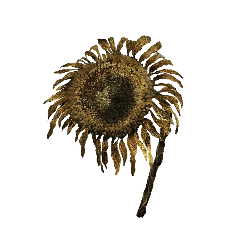 Tarnished Golden Sunflower icon