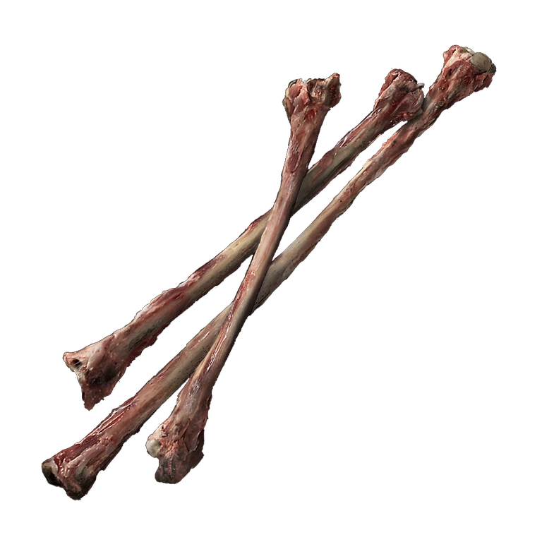 Thin Beast Bones icon