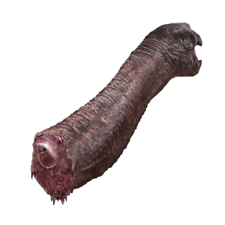 Turtle Neck Meat icon