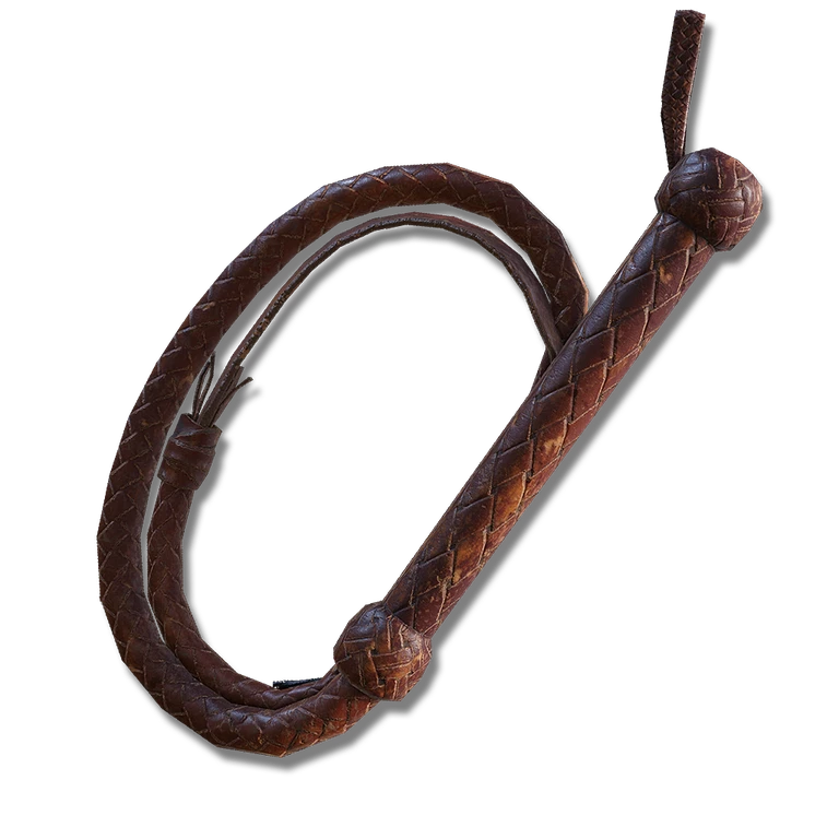 Whip icon