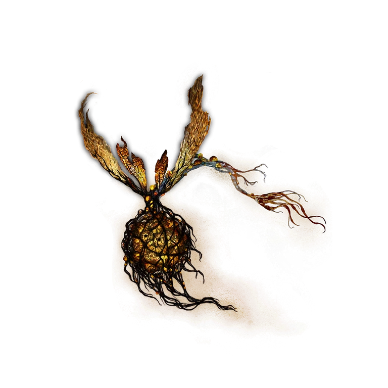 Winter-Lantern Fly icon