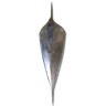 Carian Thrusting Shield icon