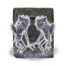 Fanged Imp Ashes icon