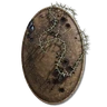 Marred Leather Shield icon