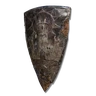 Sun Realm Shield icon